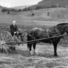 Former President at his Vermont family farm. He and his horse are ready to put the hay baler to work, July 1931.