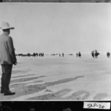 President Coolidge watches the steer riding along the beaches of Sapelo Island, December 1928.