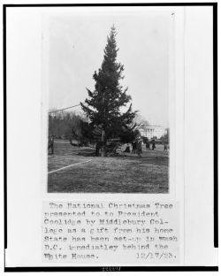 First Christmas Tree 1923