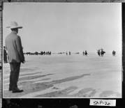 Sapelo_Island_1928__President_Calvin_Coolidge_watching_steer_riding_on_beach