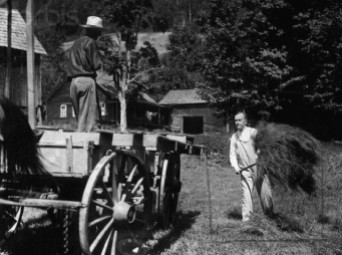Original caption: President Calvin Coolidge on the Blanchard Farm at Pinney Hollow as he threw a fork full of hay on the wagon. He seems to be enjoying his "back to the farm" stint. --- Image by © Bettmann/CORBIS