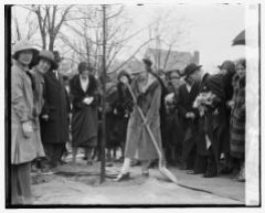 Grace Coolidge plants a tree at the Chevy Chase Playground, February 28, 1929