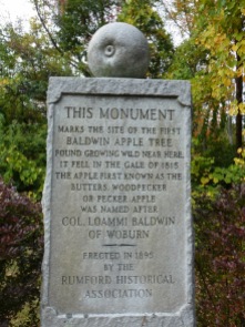 Monument to the now rare but once immensely popular Baldwin apple developed by Colonel Loammi Baldwin.