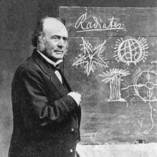Louis Agassiz, Swiss-born geologist, noted for his work on glaciers, along with more controversial contributions to scientific thought.. Agassiz chose Massachusetts to do much of his work.